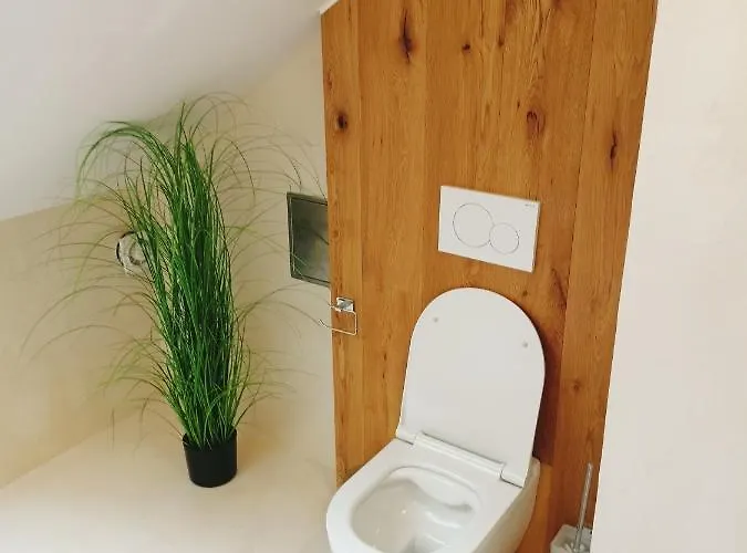 U Ovečků -