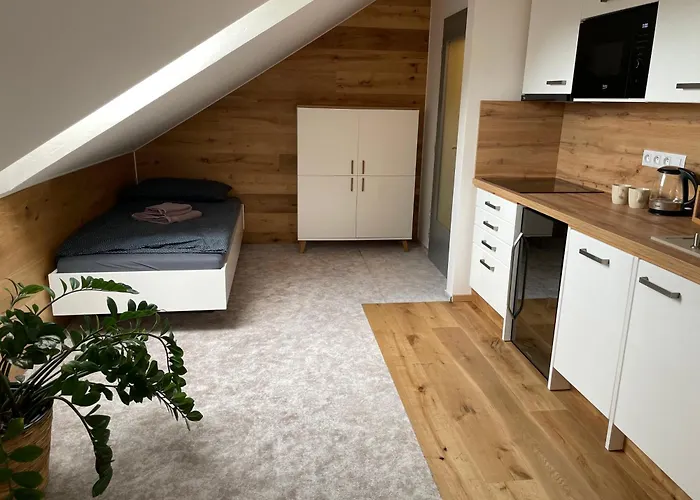 U Ovečků - Apartmán *